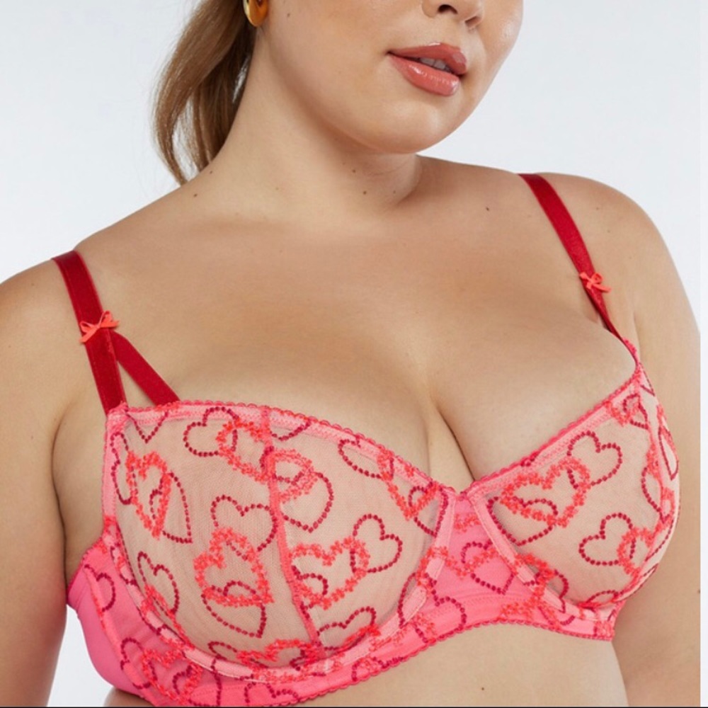 Linking Hearts Embroidery Unlined Lace Bra